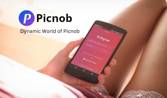 Dynamic World of Picnob