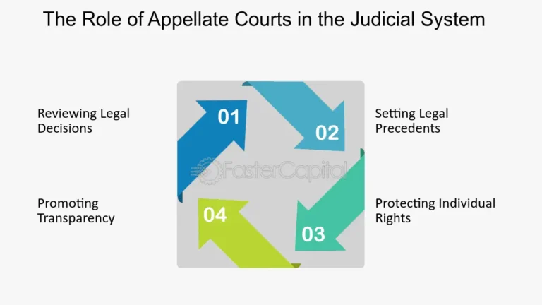 Appellate Courts Reviewing Adjudication Decisions The Role of Appellate Courts in the Judicial System