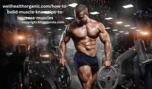 how to build muscle know tips to increase muscles